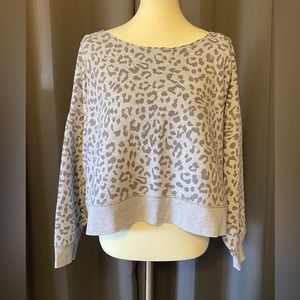 Aerie Down to Earth sweatshirt